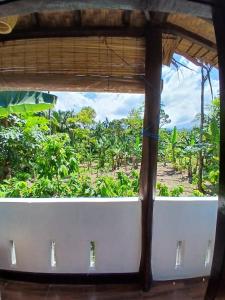 Sumatra Cheeky Monkeys Villa, Trekking and Tours