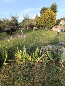 La Scola di Pirazzolu Retreat