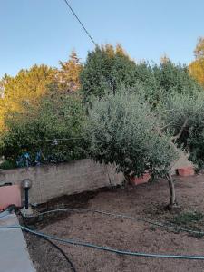 La Scola di Pirazzolu Retreat img53