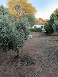 La Scola di Pirazzolu Retreat img46