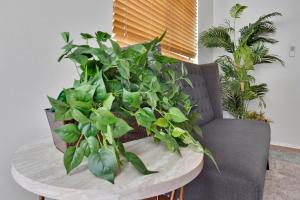 #1 ATL Extended StayCay includes Pool, Cabanas, Duck Pond, Walking Trails, Tennis Court!