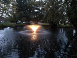 Green Woods Lovely 1 Bed Apt in Blackheath, London