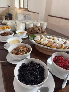 Близнюки Готель