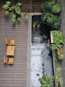 The Dangs Home in Lao Cai