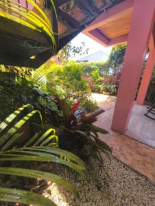 Departamento Ángeles del Arenal #1