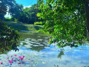 The Naturus Eco Home Battambang