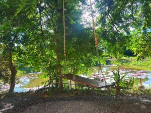 The Naturus Eco Home Battambang