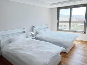 Jeju City Workcation Urban Healing View