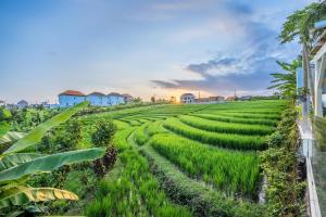 Master Suite in Prime Canggu Pool Villa overlooking rice fields