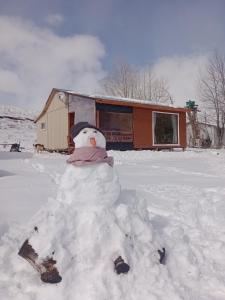 Cabañas Aliwen Lonquimay