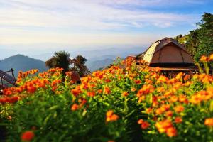 บ้านกระจก - Raiwassana Baandoy