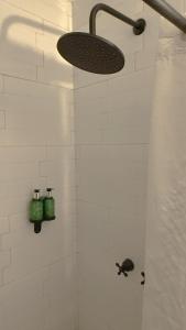 Cozy studio with the best location in Condesa