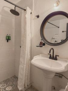 Cozy studio with the best location in Condesa