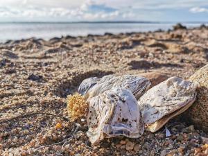 6 person holiday home in Spøttrup-By Traum