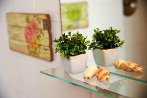 Central Garden Saldanha Apartment