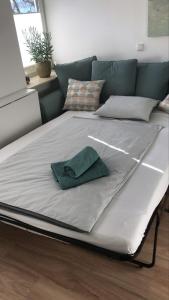 Kleine feine Wohnung Gmunden City