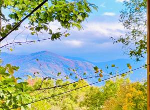 Lovers Retreat with Free Tickets to Dollywood,Anakeesta,Incredible Views!in Gatlinburg