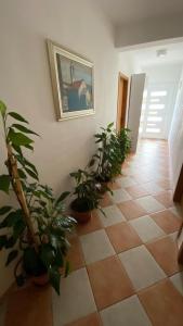 Apartments San Giorgio