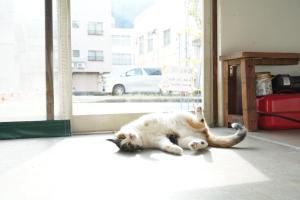 Sansan Yuzawa Backpackers