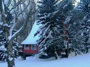 House in Bohemian near Ski Slope