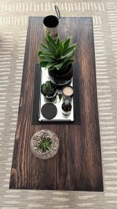 The Urban Elm Guesthouse