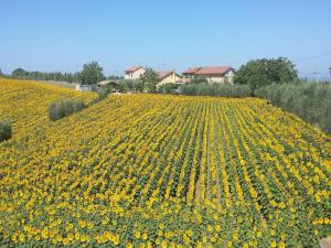 Rustic Charm, Modern Comfort