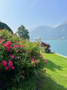 Exclusive Lake Access Villa Studio