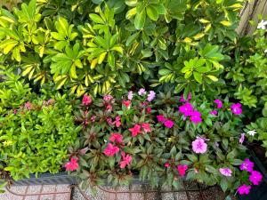 Nhà Ven Sông Phan Thiết