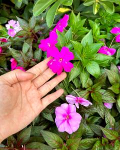 Nhà Ven Sông Phan Thiết