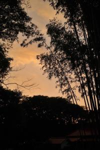 Beautiful Japanese modern house in Yonago