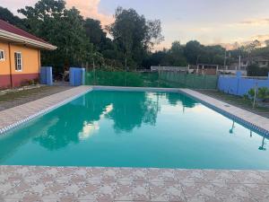 Scarlett Near Mount Zion