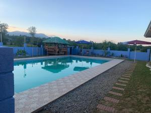 Scarlett Near Mount Zion