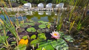 NEW- Ericeira Design Villa- 10 min from Beach, pool and great view