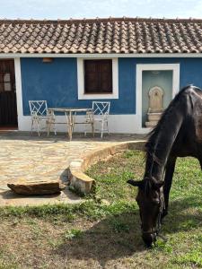 Retiro Alentejano Suite com Entrada Privada