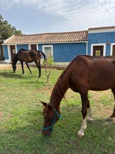 Retiro Alentejano Suite com Entrada Privada