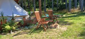 Miami Jungle Glamping