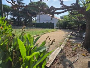 Logement au Mas de la Couloumine Gîte Le Madeloc