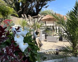 KIRA Beach Apartment, Hove Beach