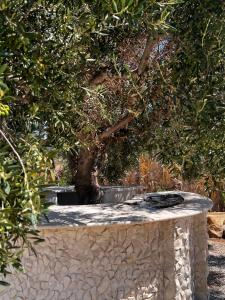 Villa a la montagne Hammamet