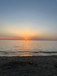 Muli 1 Bedroom Apartment