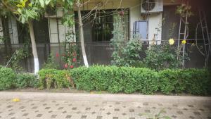 2 Zimmer Wohnung in Sunny Beach