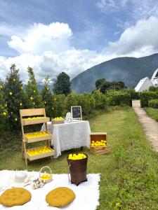 Paradise Resort & Cafe