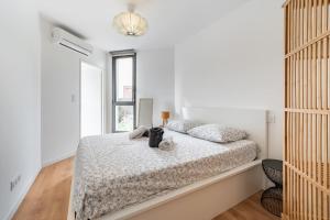 Renovated apartment with balcony and parking