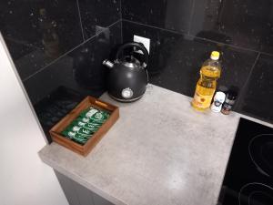 Luxury apartment Enschede