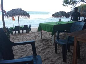 Goyambokka Peacock Guest