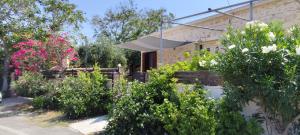 Cretan cottage of 1900 with beautiful olive yard