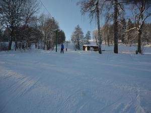 Chalet in Malá Skála near Ski Slopes