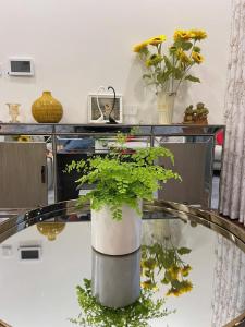 Tòa H2-Masteri diện tích 50m2