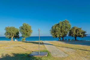 Olympia Mare Kos Greece