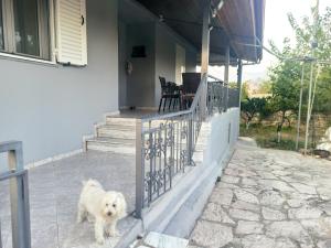 Yannoulas Family Home